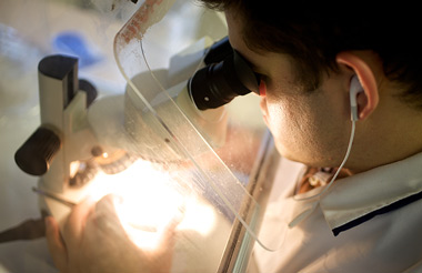 Asbestos analyst testing a sample