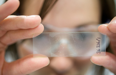 Consultant looking at asbestos slide