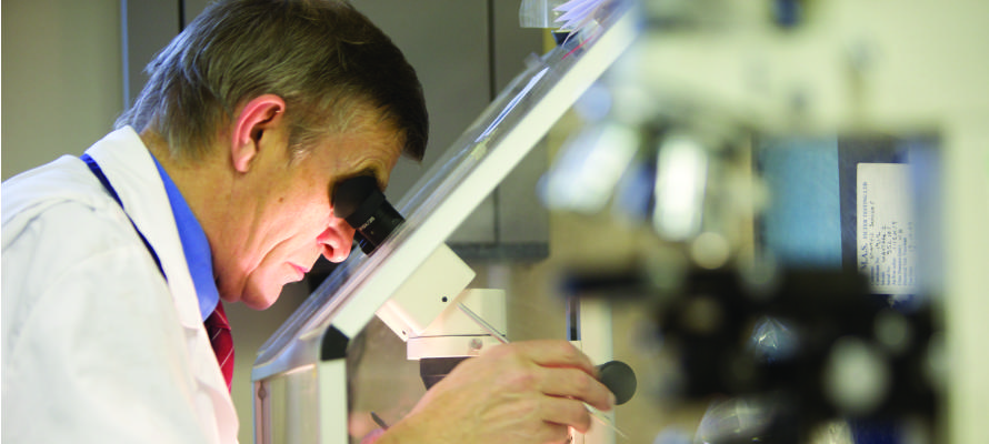 Asbestos Analyst and Microscope Asbestos analyst looking down a microscope testing a sample