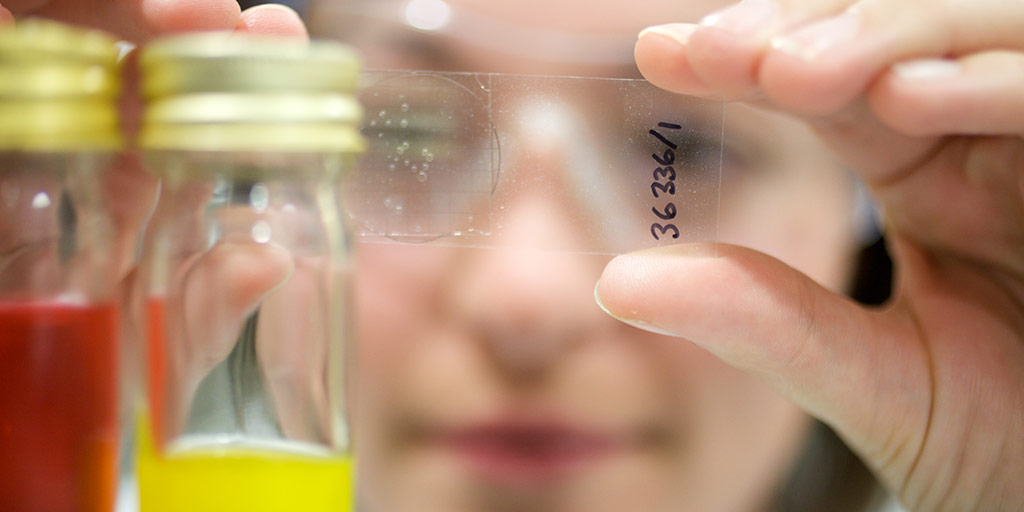 How to Test an Asbestos Sample?