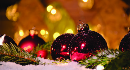 Christmas decorations and tree cuttings