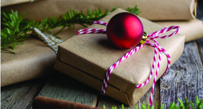 Christmas present and decoration