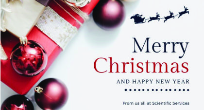 Christmas presents and decorations