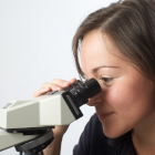 Asbestos consultant and microscope