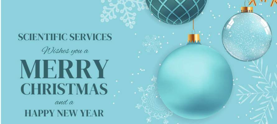 Christmas message and decorations Christmas decorations and Christmas message