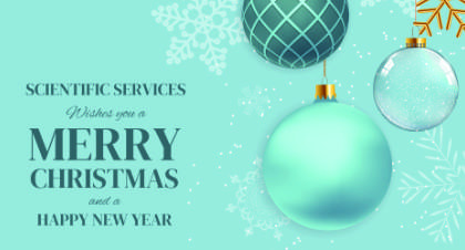 Christmas decorations and message